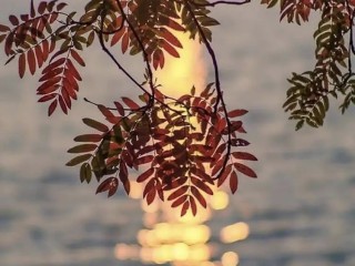 6564b56f9650789f31fdaad44a9cc0a8d3cbe57f.jpg