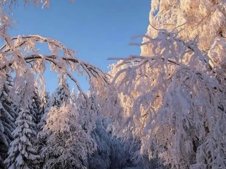 cc0237c20383d265e7f95d447d0431ecbdf8d422.jpg