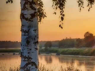 ede2c9f3d16ade383794587c227b9d35720166ec.jpg