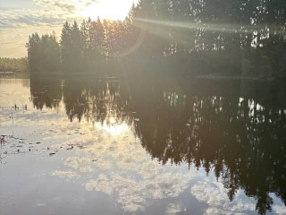 b4484cb0e4bfcc0dd707b987e062cb531e24d7eb.jpg