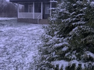 0258c8c71f058077a4521763ee85ef494178f42d.jpg