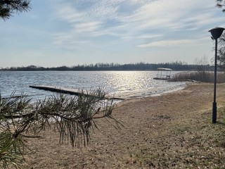 005196d63a55f8a28bf45f91f2bdd5eab5d7acb1.jpg