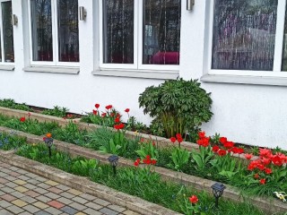 0e26cf1bb83b41c571b18f491d96451999da79cc.jpg