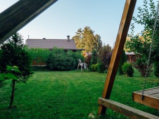 8c23c713b8ff36156c3d483aae31908aa0e5c3b3.jpg