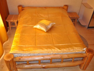3ac5db2775acd9776006c6875cfe210034bb9296.jpg