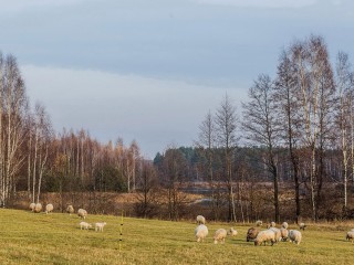ec9f98a6f8b3226c6437072ab96828b866e193f4.jpg