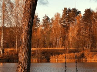 d67b8aea33998b9034a57107164fef4416c237a2.png