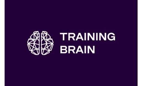 Образовательный проект Training Brain