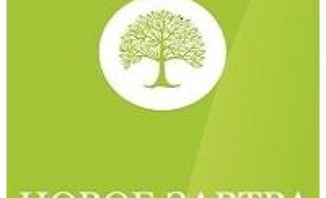 Образовательный и кадровый центр Новое завтра