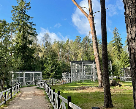 В Беловежской пуще