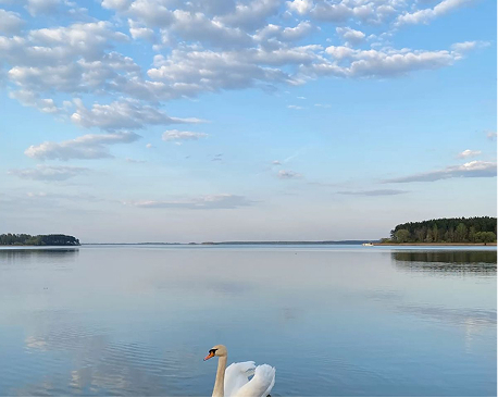 На Минском море