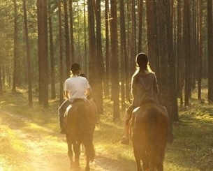 Катание на лошадях