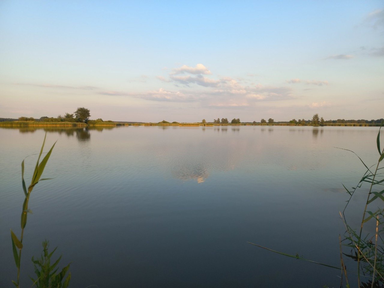 ca016d75c597bf10d49230ff186a22cdb7b3c851.jpg